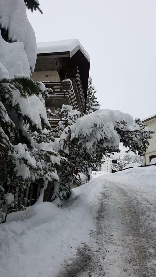 The Closest Location To The City Center And Chairlift Oulx Dış mekan fotoğraf